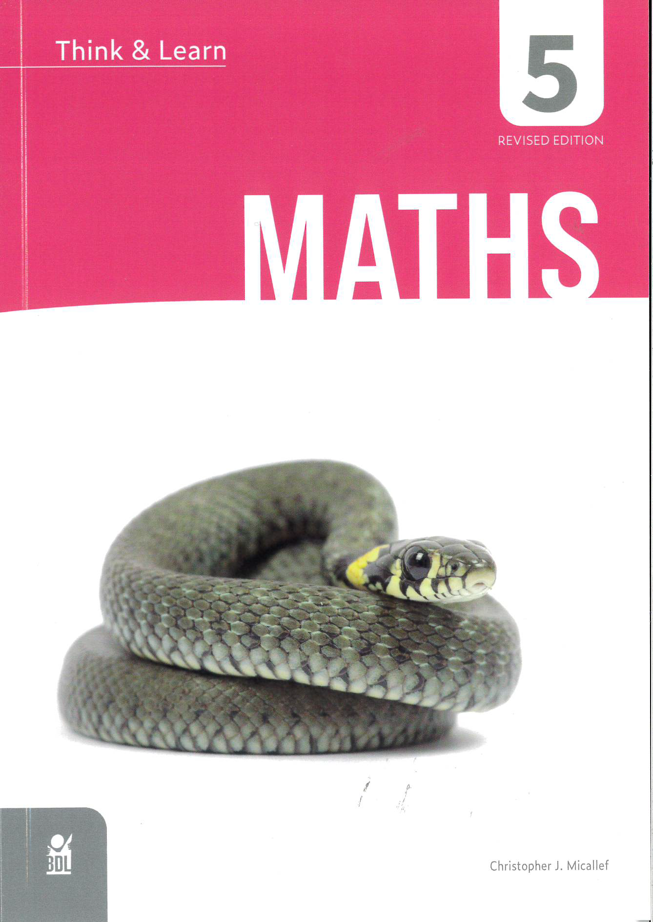 Think & Learn Maths 5