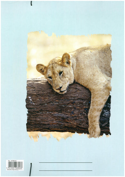 Elastic Cartoon Folder A3