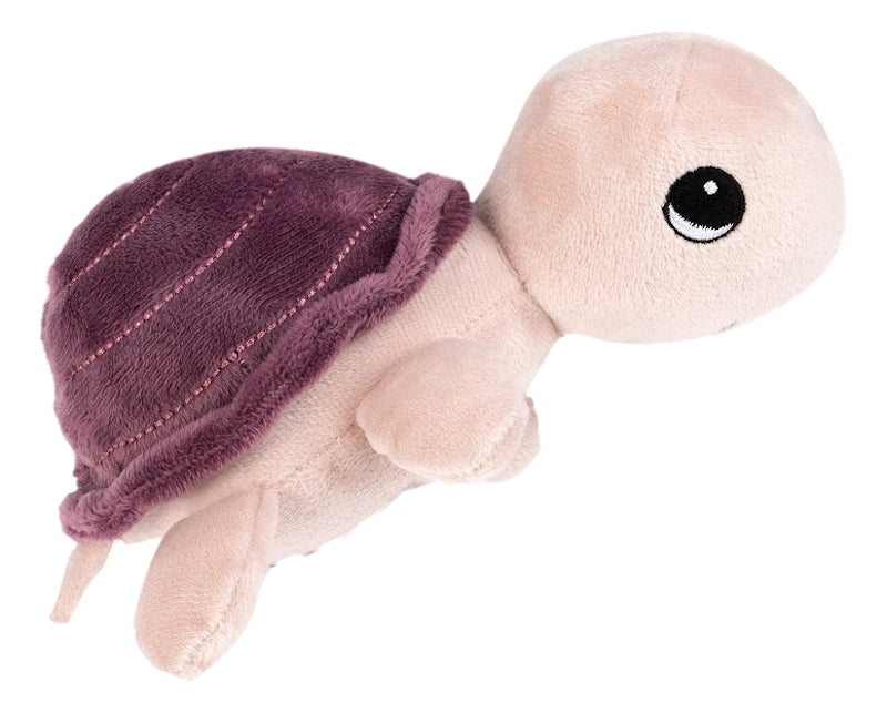 Tortoise Rattle