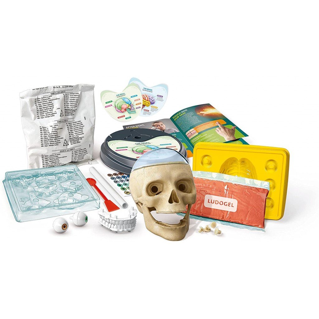 Clementoni Anatomy Lab - 61520