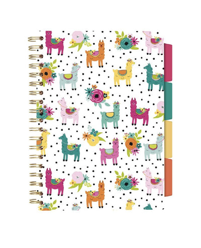 Pukka Pad Project Book B5 Llama