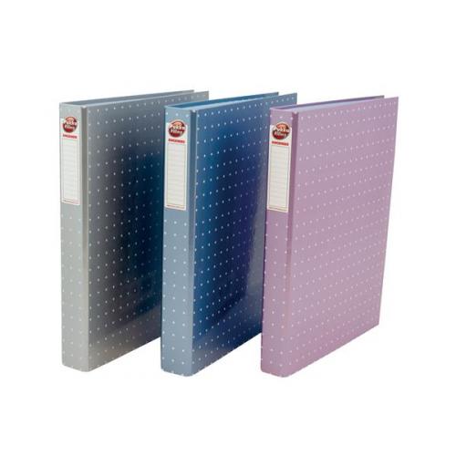 Pukka Ringbinder - 1 File Silver