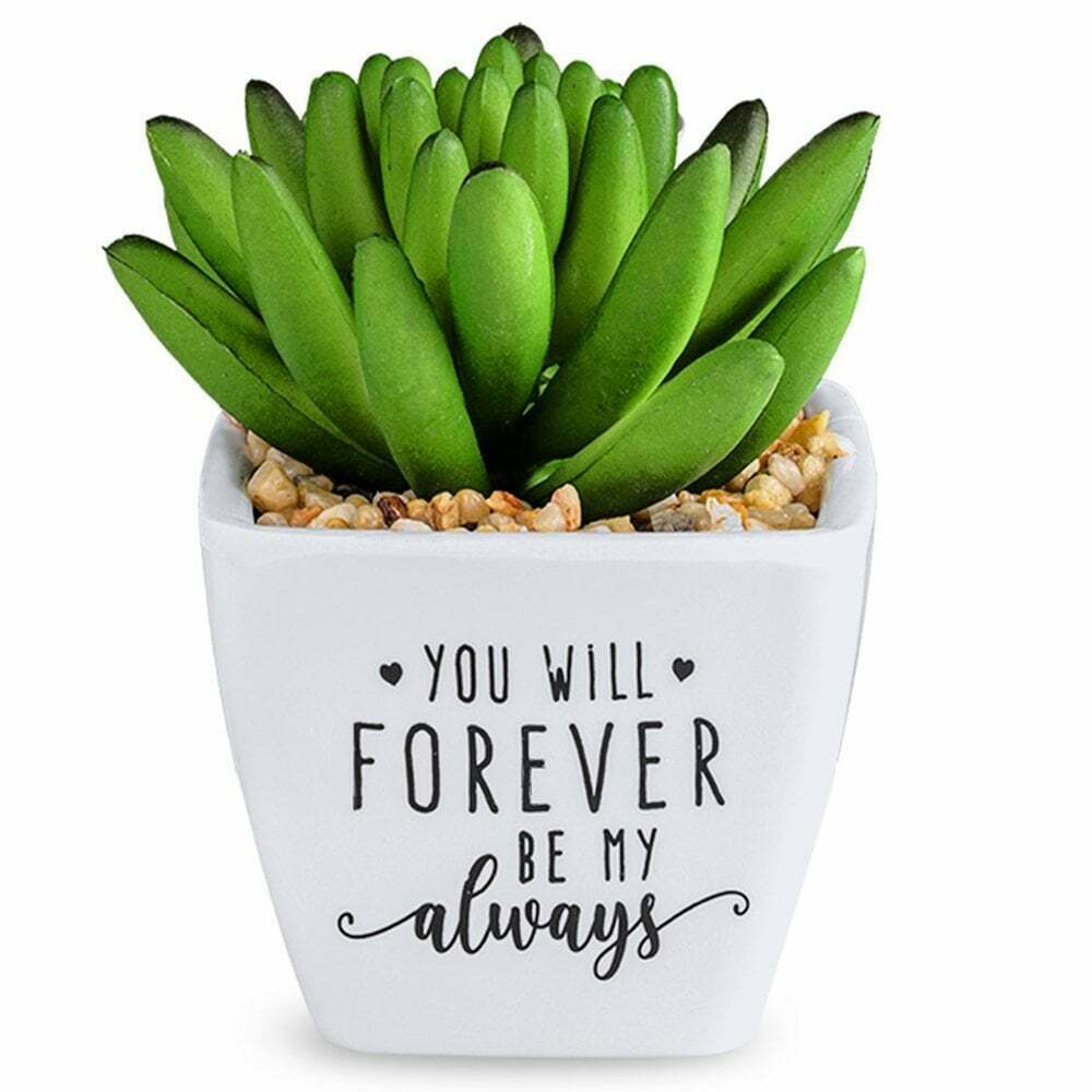 Sister Artificial Plant
