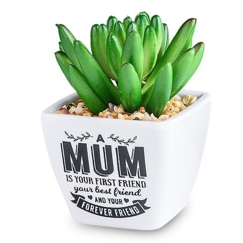 Mum Friend Artificial Plant