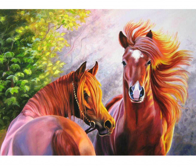 Diamond Painting Canvas 5D
