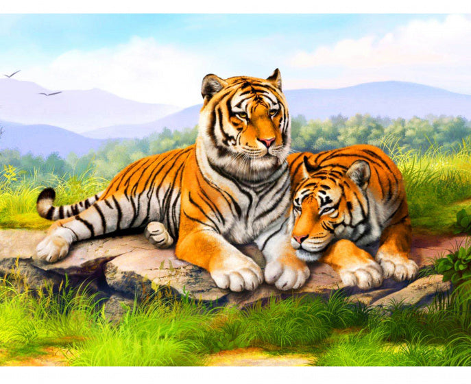Diamond Painting Canvas 5D