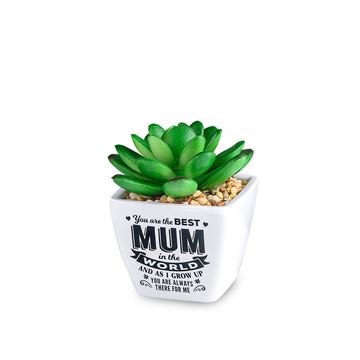 Artificial Plant - Best Mum