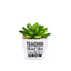 Teacher Thank You For Helping Me Grow Artificial Plant