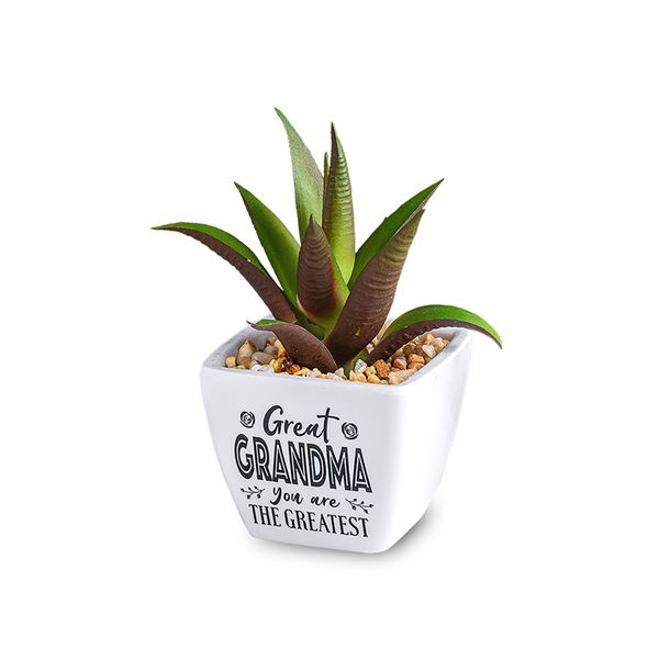 Artificial Plant - Great Grandma You Are The Greatest