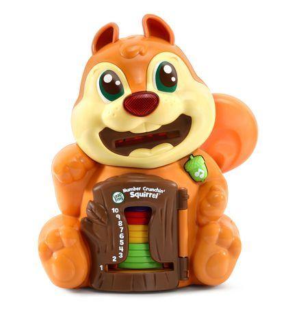 Number Crunching Squirrel