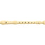 Flute - Recorder