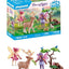PLAYMOBIL   Fairies Princess magic - 71800