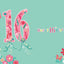 Happy sweet 16