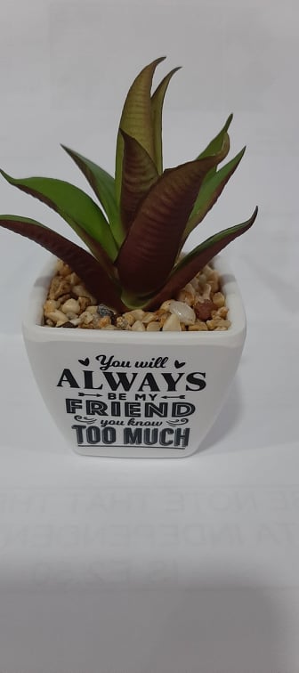 Artificial Plant - Always Be My Friend