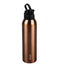 Stainless Steel Bottle 750ml
