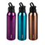 Stainless Steel Bottle 750ml
