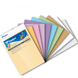 10 Pale Coloured Cardboad A4