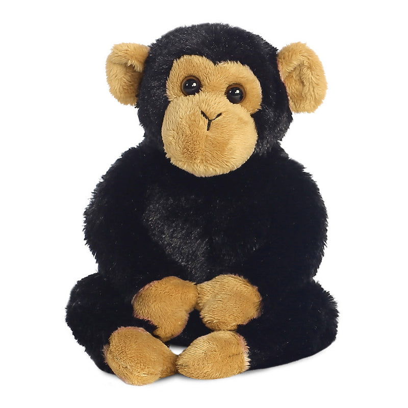 Chimp Monkey