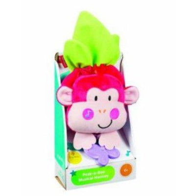 Peek-A-Boo Musical Monkey