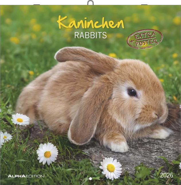 Rabbits 2026 Wall Calendar 30x30 cm
