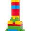 Mega Bloks Big Building Bag 60Pcs