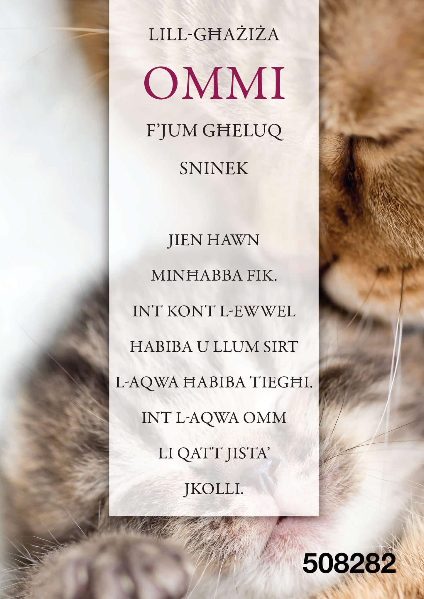 Ommi F'Jum Għeluq Sninek