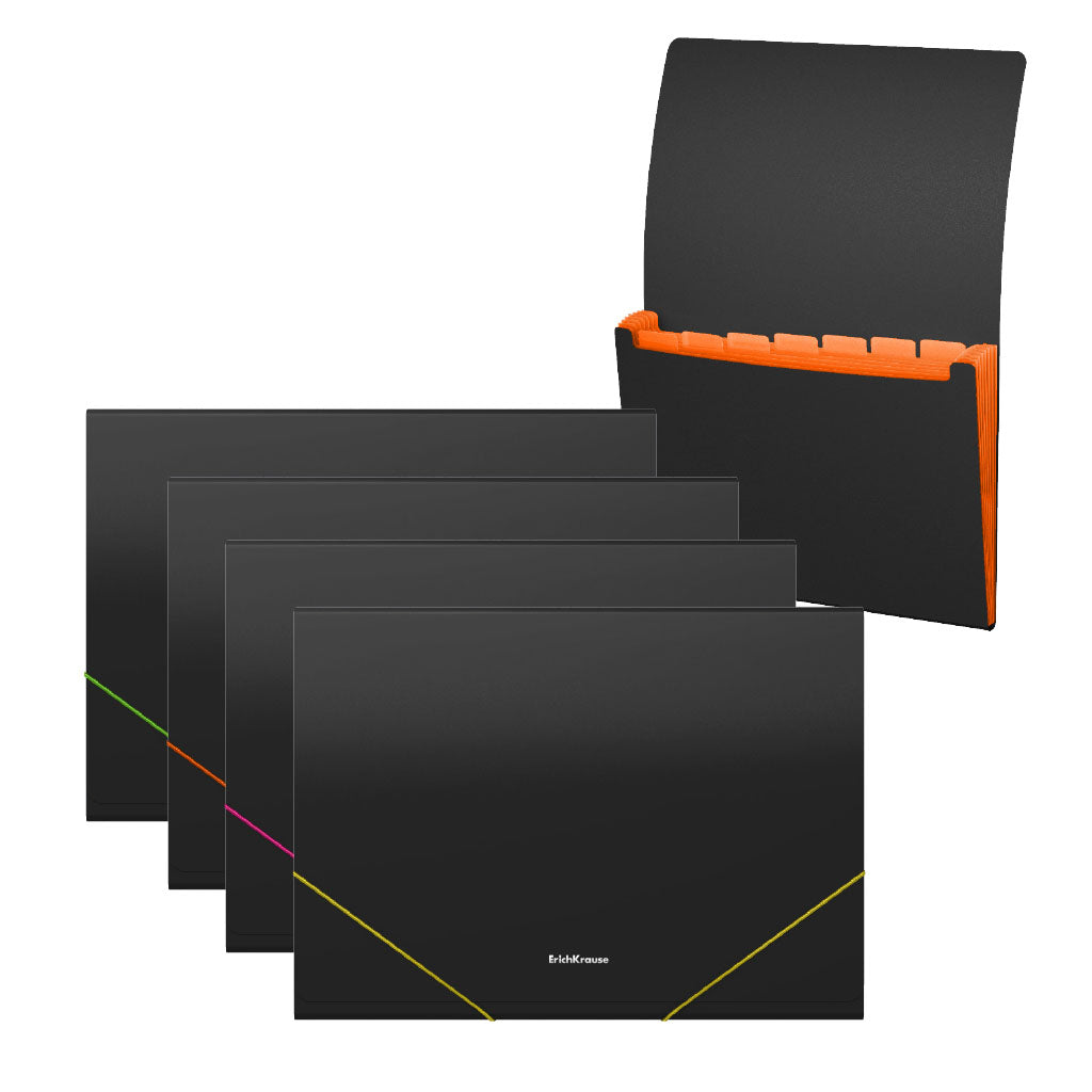 Expanding File A4 X 12 Parts Black