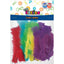 Craft Feathers X30 Pcs