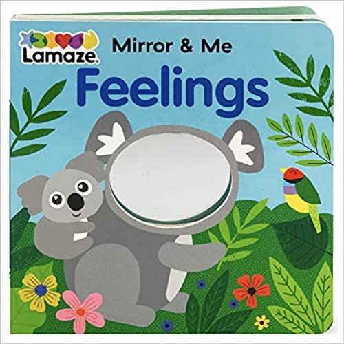 Mirror And Me Board Book: Feelings