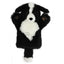 Border Collie Glove Puppets