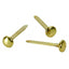 Paper Fasteners X100 25mm