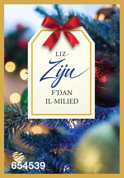 Liz-Ziju