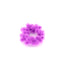 Bunchems! Colour Boosters