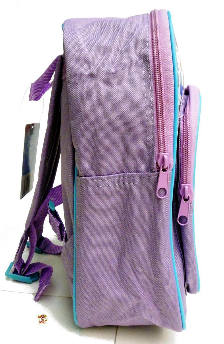 Frozen Backbag