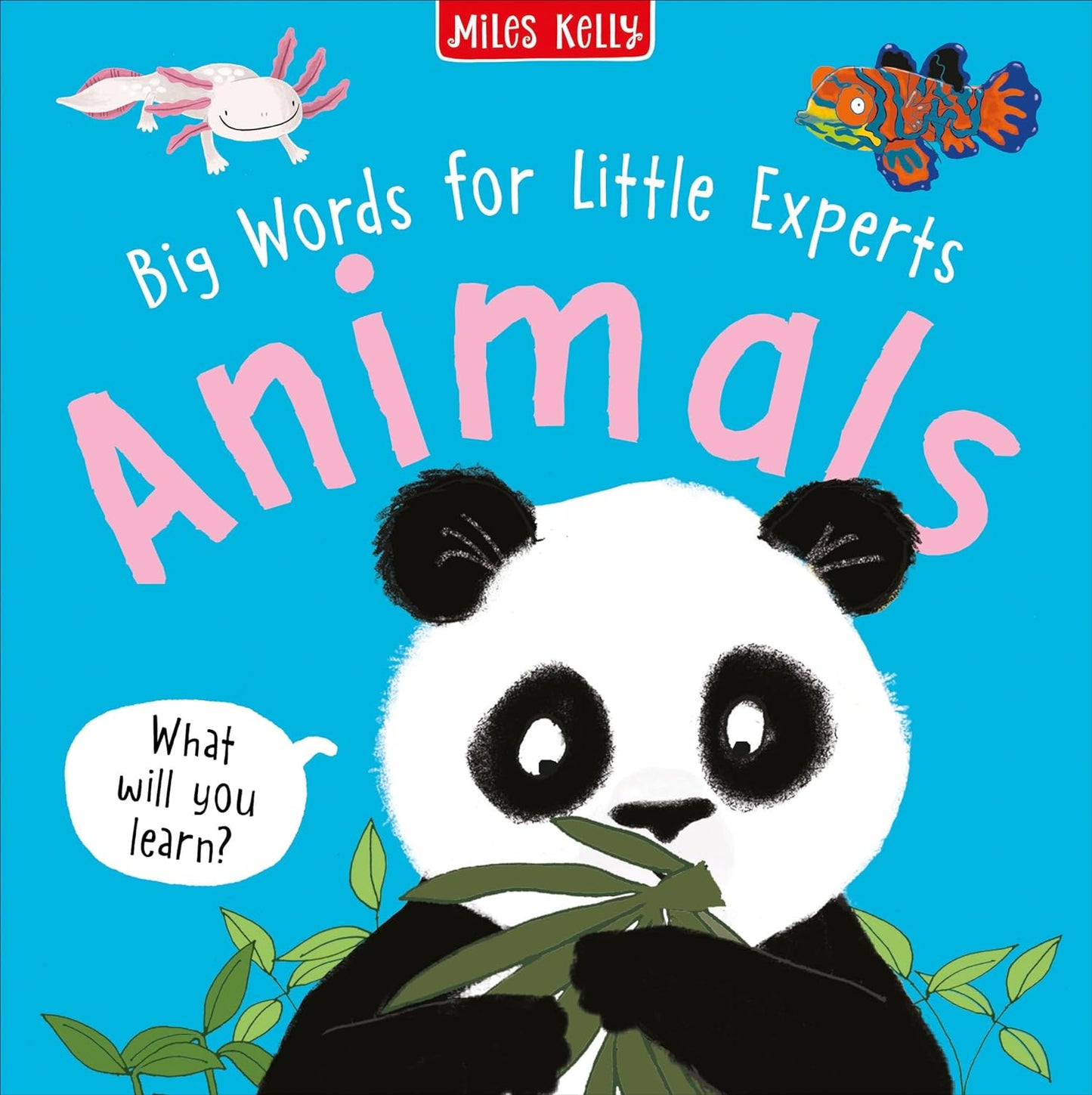 Big Words For Little Experts Animals - Miles Kelly