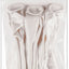 BALLOONS SATIN WHITE x8pcs