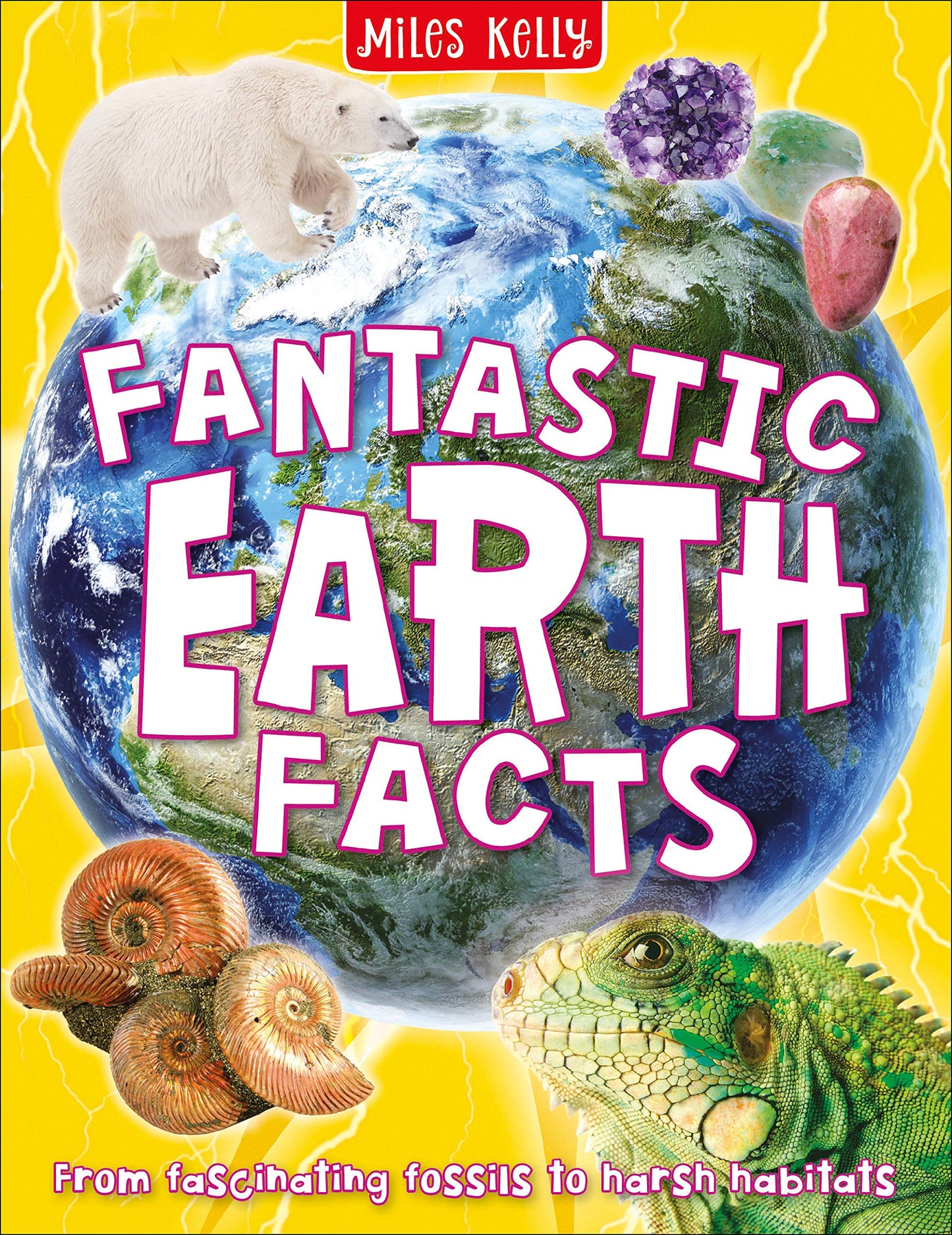 384 Pgs: Fantastic Earth Facts