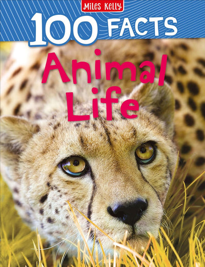 Miles Kelly - 100 Facts Animal Life 