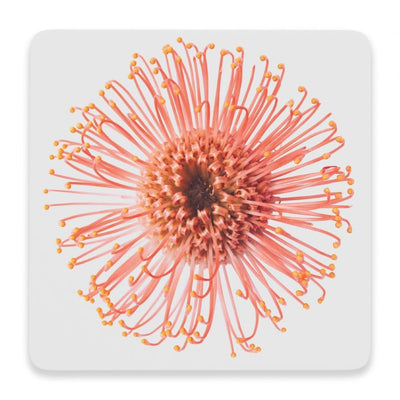 Red-Flourish Coaster