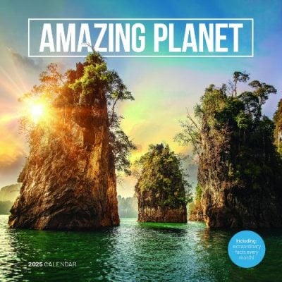 Amazing Planet Square Wall Calendar 2025