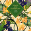 Sense and Sensibility: The stunning deluxe gift edition of Jane Austen's first novel - Vintage Collector's Classics
