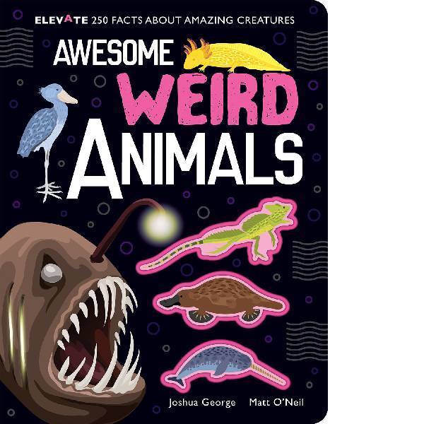 Awesome Weird Animals