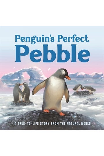 Penguin's Perfect Pebble Board Book