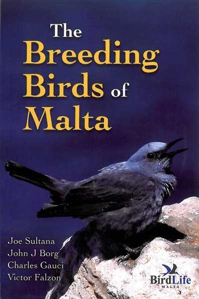 The Breeding Birds Of Malta