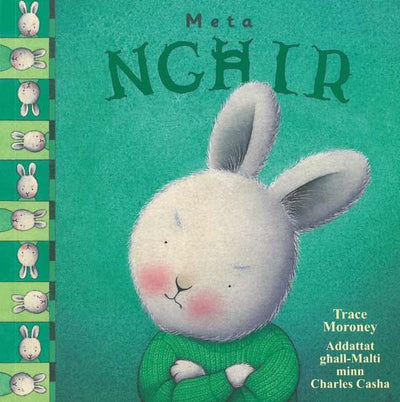 Meta Nghir