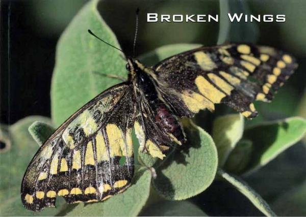 Broken Wings