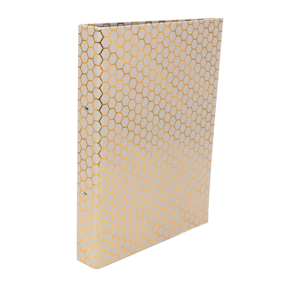 Pukka 2 Ring Binder 