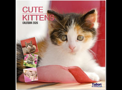 Square Calendar 2026 Kittens or Puppies