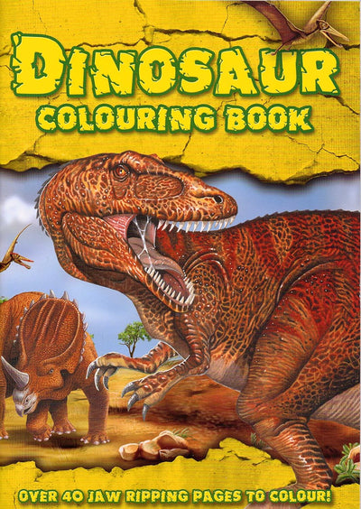 Dinosaur Colouring Book