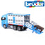 Bruder Cows Truck